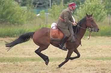 XIV Piknik Kawaleryjski w Suwałkach, 14-15.VI.2014 #kawaleria #konie #koń #PiknikKawaleryjski #Suwałki #ułani