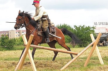 XIV Piknik Kawaleryjski w Suwałkach, 14-15.VI.2014 #kawaleria #konie #koń #PiknikKawaleryjski #Suwałki #ułani