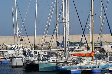 Wulkaniczna wyspa na Atlantyku, pełna kwiatów i zieleni. #Atlantic #Atlantyk #island #ocean #Teneriffe #Teneryfa #volcano #wulkan #wyspa