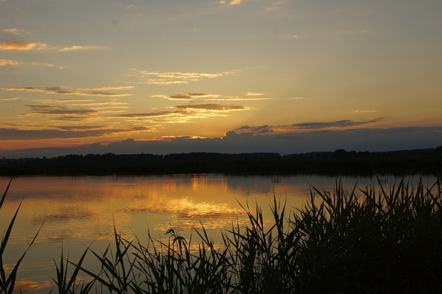 świętokrzyskie/ okolice Korytnicy