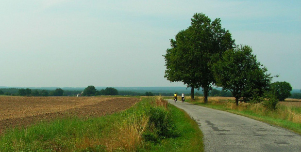 takie szlaki lubię najbardziej :) nawet 30*C nie przeszkadza w podóży