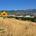 1. Zacznijmy od poczatku...U stóp malowniczych gór Wasatch w dolinie nad Wielkim Słonym Jeziorem rozpościera się miasto Salt Lake City - moja baza.