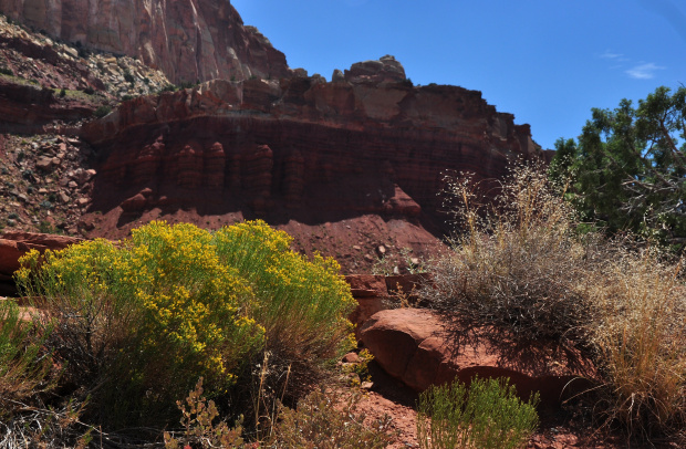 42. Przejazd przez część główną parku narodowego Capitol Reef