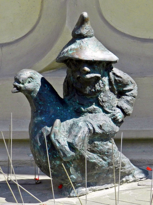 GOŁĘBNIK - Rynek Ratusz 2, parapet restauracji „Pod Papugami”