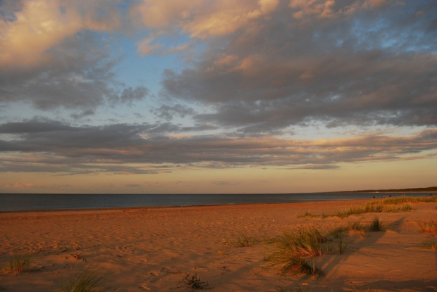 Plaża w Mikoszewie