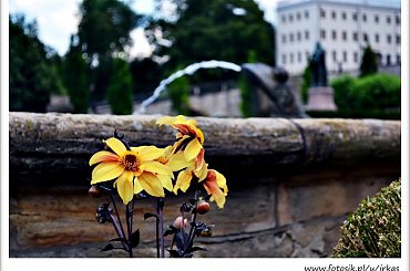 Gotha #Friedensstein #Gotha #Niemcy #Schloss #Zamek