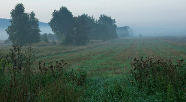 świętokrzyskie