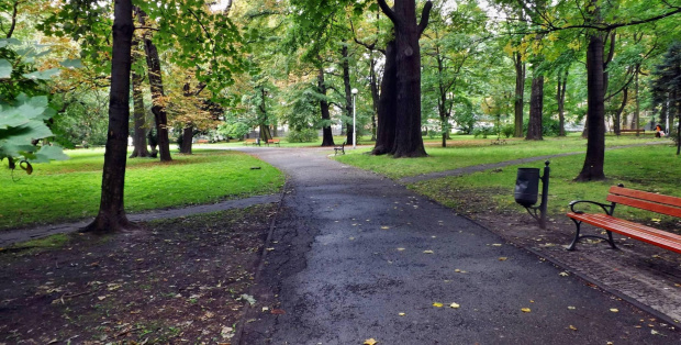 Siemianowice Śl._Park Miejski