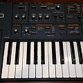 Roland JP-8000 Azzorka
