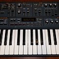 Roland JP-8000 Azzorka