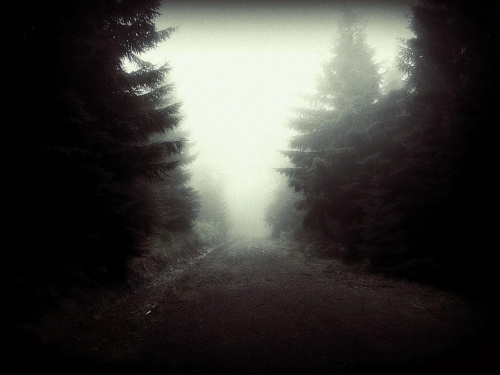 Góry Sowie. Srebrna Droga (szlak fioletowy) z Przełęczy Walimskiej na Przełęcz Sokolą - w deszczu i we mgle