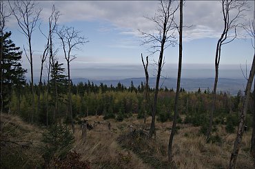 Na Sępiej Górze (Sudety- Góry Izerskie) #Sudety #GóryIzerskie #SępiaGóra #góry