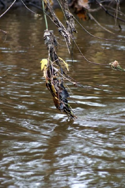 świętokrzyskie