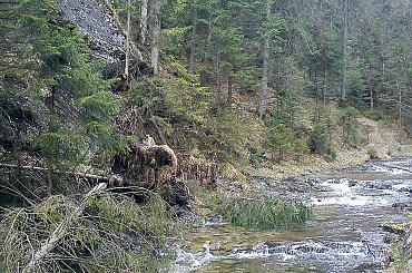 #góry #Tatry #Zakopane
