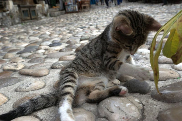 MOSTAR, BOSNIA i HERCEGOWINA