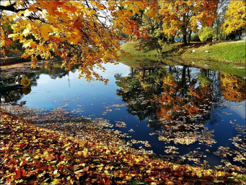 taką słoneczną i kolorową jesień lubię #jesień #natura