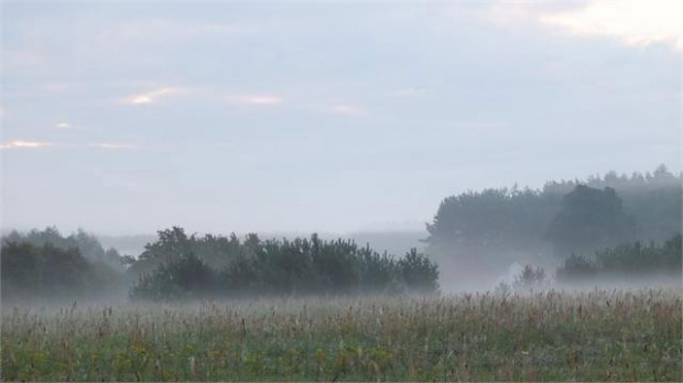 04-05.09 .2013