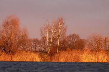 pierwsze promienie #krajobrazy #widoczki