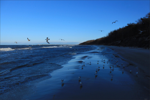 ... zachodni wiatr ... #Bałtyk #morze #plaża #ZachodniWiatr