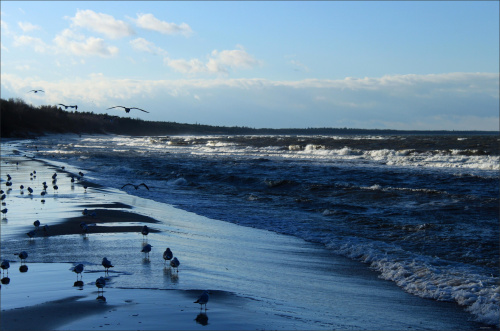 ... zachodni wiatr ... #Bałtyk #morze #plaża #ZachodniWiatr