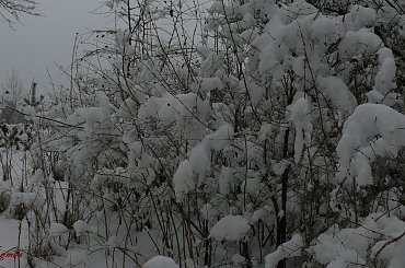 Na skraju Puszczy Piskiej #PuszczaPiska