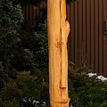 #rzeźba #ogród #dom #mieszkanie #galeria #sztuka #drewno #drzewo #PlacZabaw #allegro #dziecko #rodzina #wakacje #loft #ShabbyChic #vintage #ludowe #komoda #stolik #nogi #MaszynaDoSzycia #singer #rękodzieło