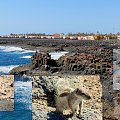 Wybrzeże w Caleta de Fuste; Fuertewentura