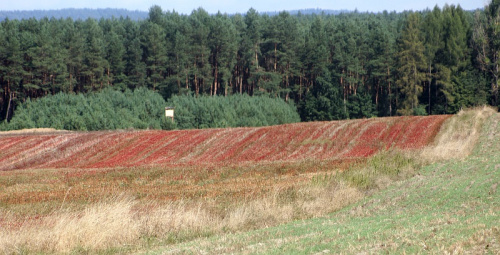 świętokrzyskie