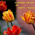Abyś była uśmiechnięta w dniu tak ważnego święta ... abyś mimo biegu lat, zawsze kochała cały świat ... 100 LAT !!! #kwiaty #tulipany #urodziny #wiosna #życzenia