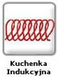 Kuchenka Indukcyjna