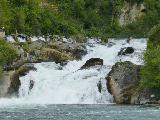 Rheinfall wodospad w miejscowości Neuhausen ma 150m szerokości i 23m wysokości #przyroda