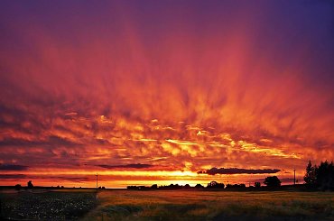 zachód słońca #ZachódSłonca #pole