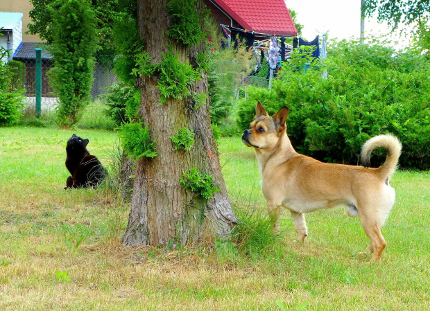 Moje kochane dzieciaki :)