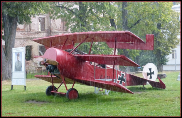 czerwony baron i jego samolot w strugach deszczu.https://pl.wikipedia.org/wiki/Manfred_von_Richthofen #przyroda