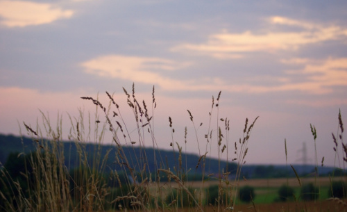 świętokrzyskie
