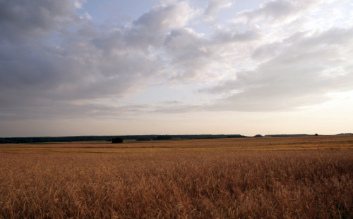 świętokrzyskie