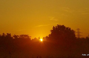 Parys i Tobi #GILDOWiernyDruh #OwczarkiNiemieckie #Parys #PsieZaprzęgi #Tobi