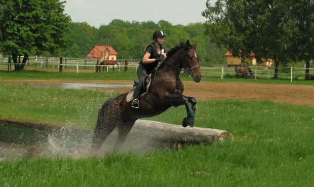 przeszkody krosowe - trening