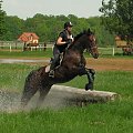 przeszkody krosowe - trening