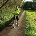 ścieżka rowerowa przez bagno